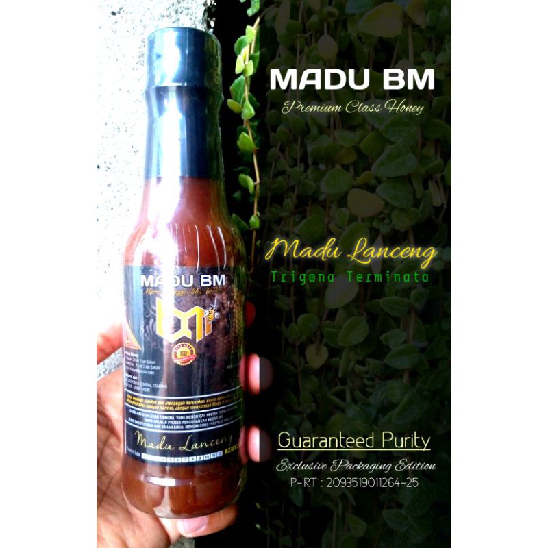Madu BM-Madu Lanceng Trigona Terminata