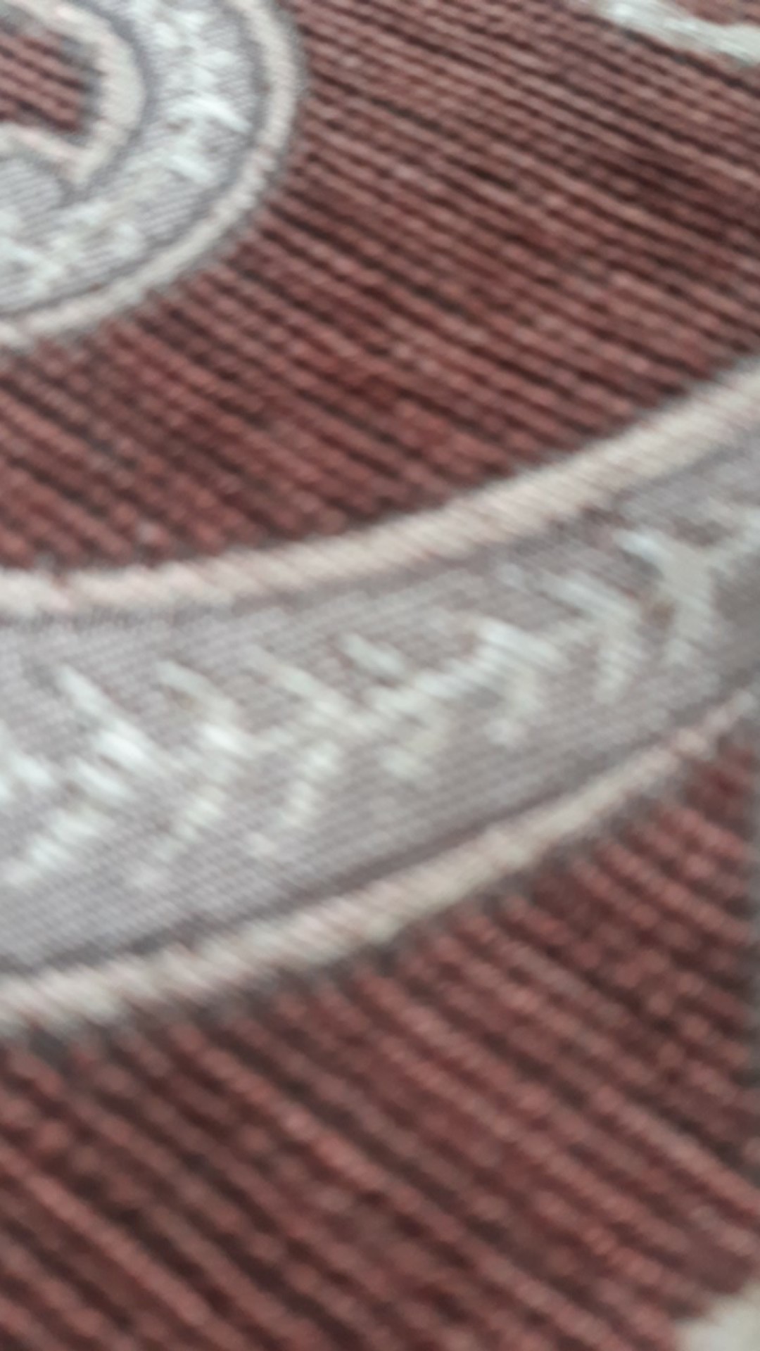 Bibit Mangga Manalagi (bisa Cod)