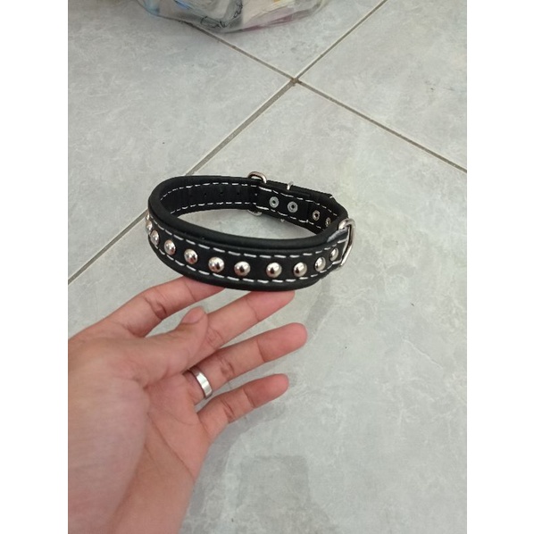 kalung anjing kulit