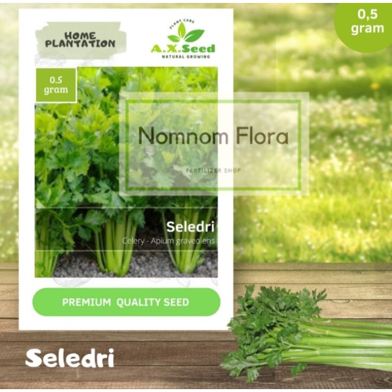 BENIH BIBIT SELEDRI ( AX SEED)