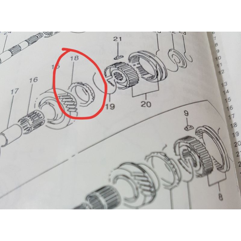 ring sinkromis gigi 5 baleno