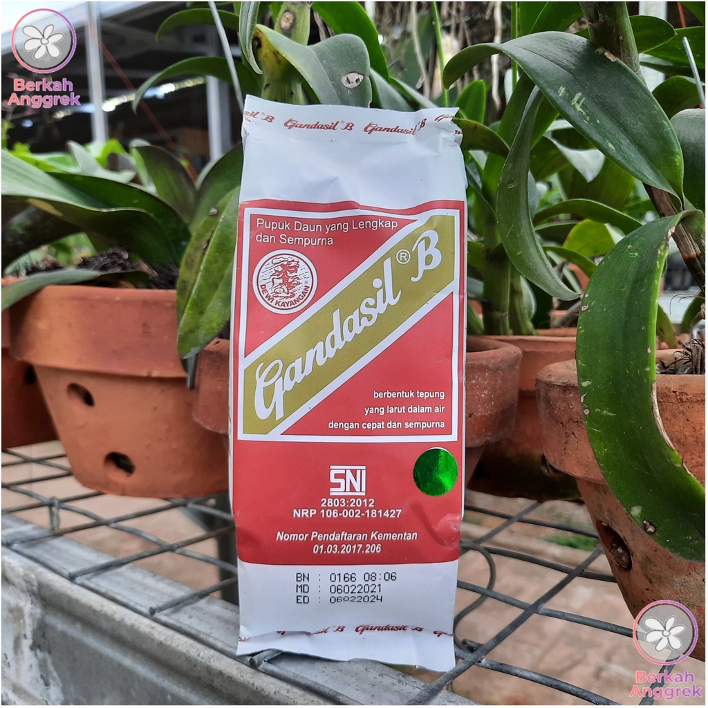 Gandasil B 500 Gram Gandasil Buah 500 Gram