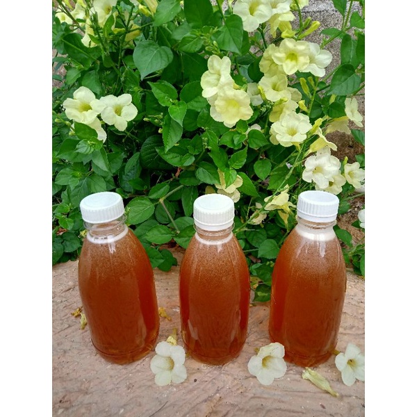 

Madu Ar Rahmat ( Madu Murni Bunga Mangga 350 ml)