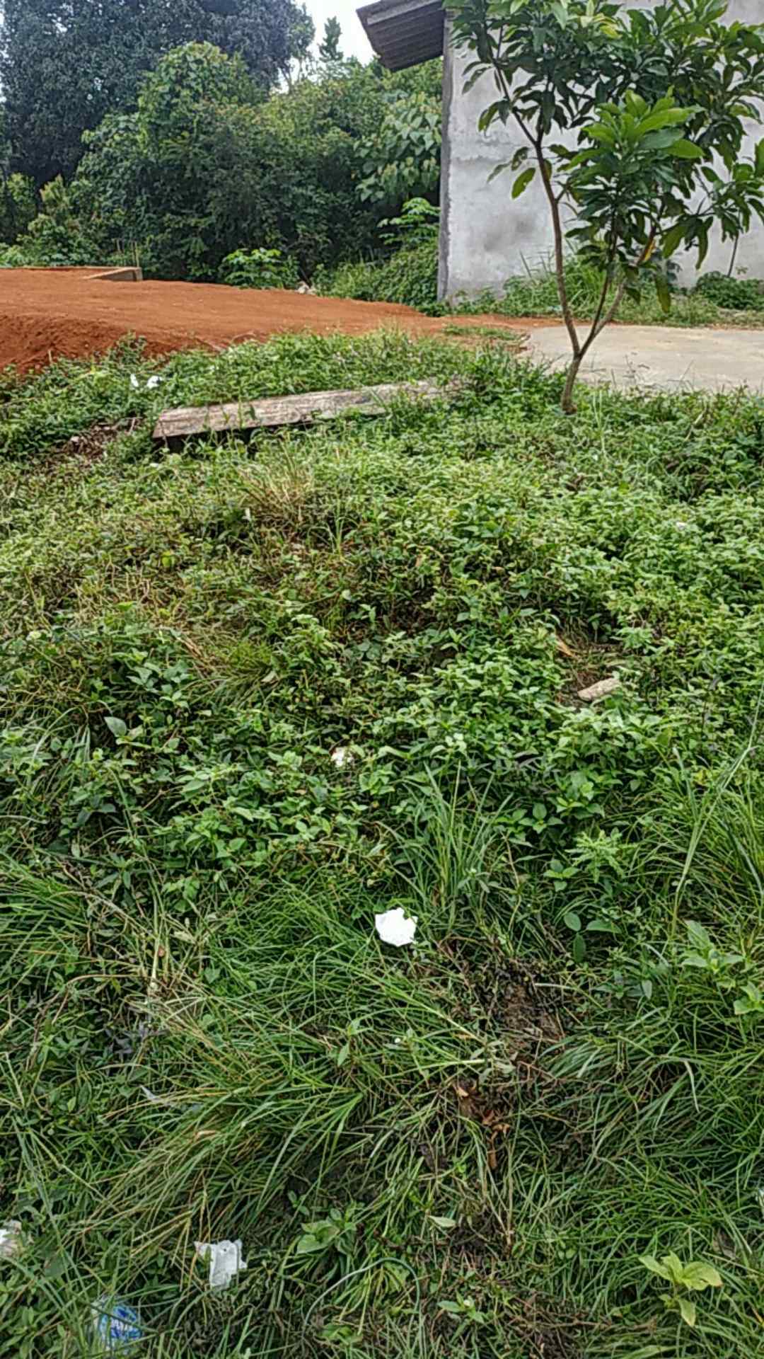 Tunik Batik Modern Batik Tunik Batik Pink Batik Capung Batik Parang