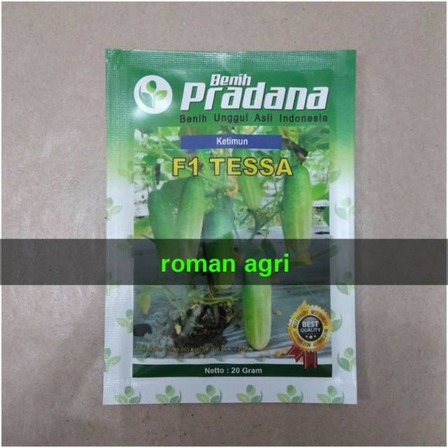 Benih F1 TESSA isi 20 gram Benih Mentimun Lalap Timun Baby PRADANA