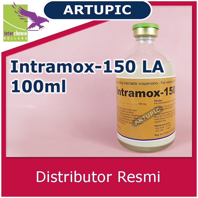 Intramox-150 LA 100 ml Amoxycillin LA Sapi Kambing Ayam Babi Domba Anjing Kucing Obat infeksi pernafasan pencernaan Antibiotik Long Acting bakterisidal Ecoli Salmonela