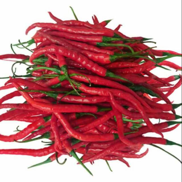 

Cabe Merah Keriting 100gram