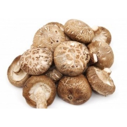 

Jamur Shitake 250gram / Shintake Shiitake Mushroom Dry Hioko Hioco