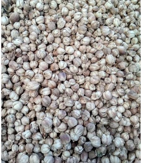 

Harga Grosir. kapulaga kapolaga kapol kering Grosir original bersih blower 1kg -