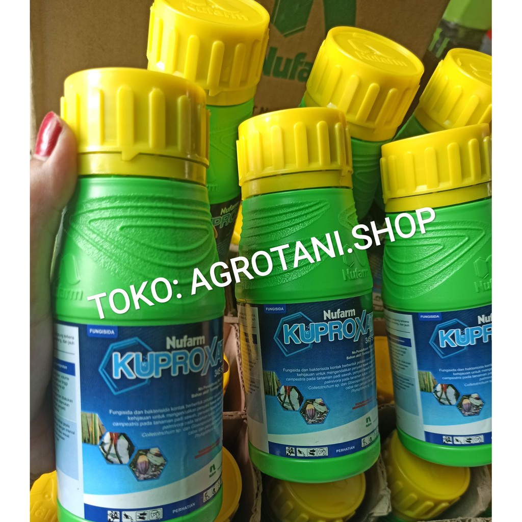 Fungisida Kuproxat 345 SC Fungisida dan Bakterisida