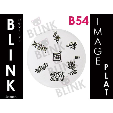 BLINK Image Plate B54 - B63