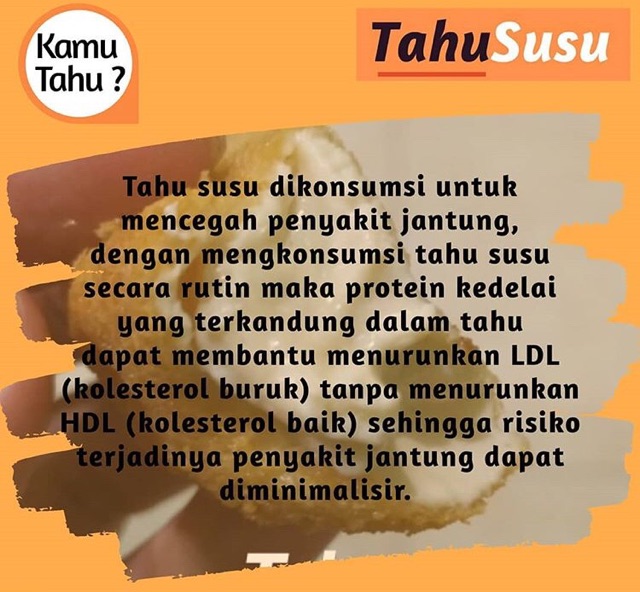 Tahu Susu Asli Jombang Shopee Indonesia