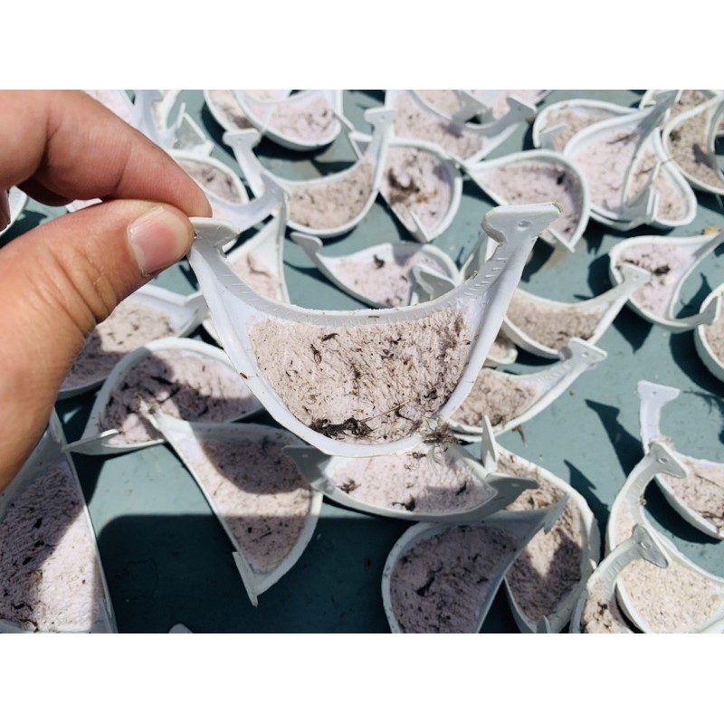 Sarang Walet mangkok Imitasi BerAroma dan Ber Bulu / sarang walet / sarang walet palsu / audax ax 61