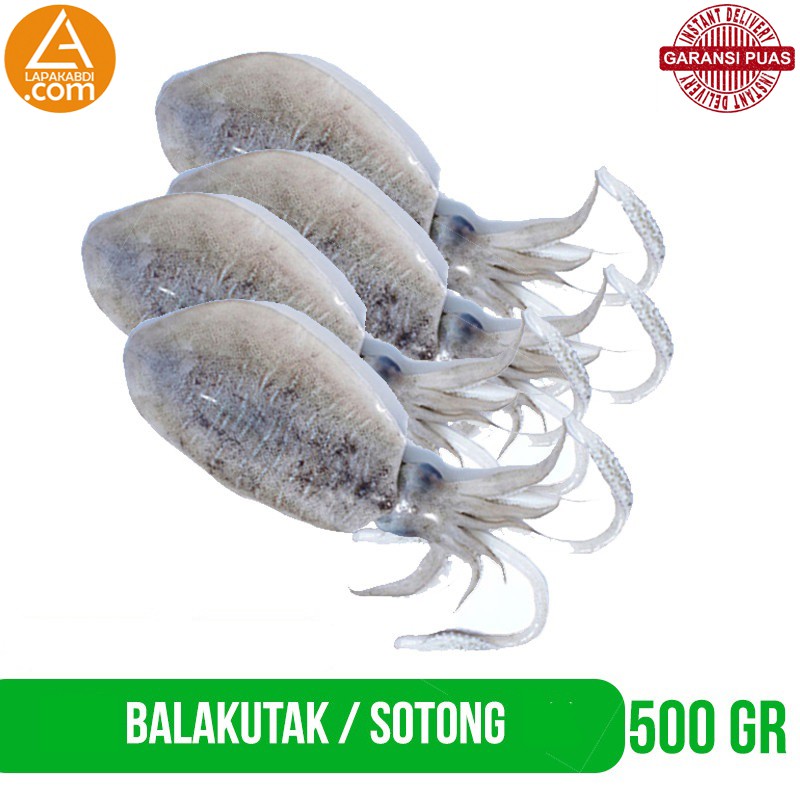 

Balakutak Blekutak Blakutak Seafood 500gr Ikan Segar Garansi Termurah