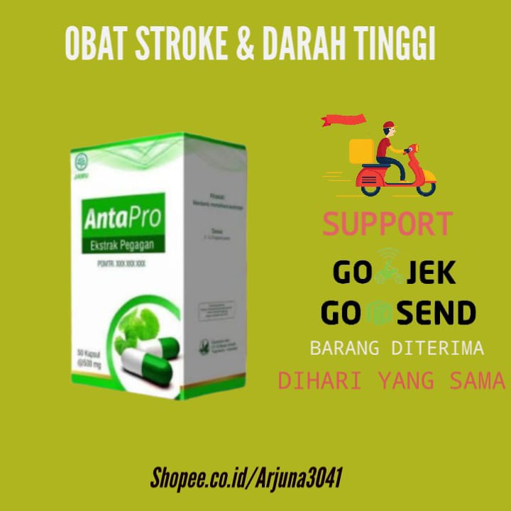 Antapro bharata Obat Stroke Darah Tinggi Struk Herbal Paling Ampuh