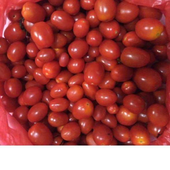 

➷ Tomat Ceri Merah 500gr/pack ✱
