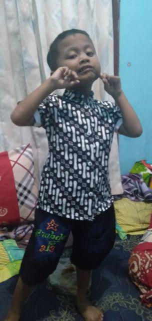 Kemeja Koko Batik Anak