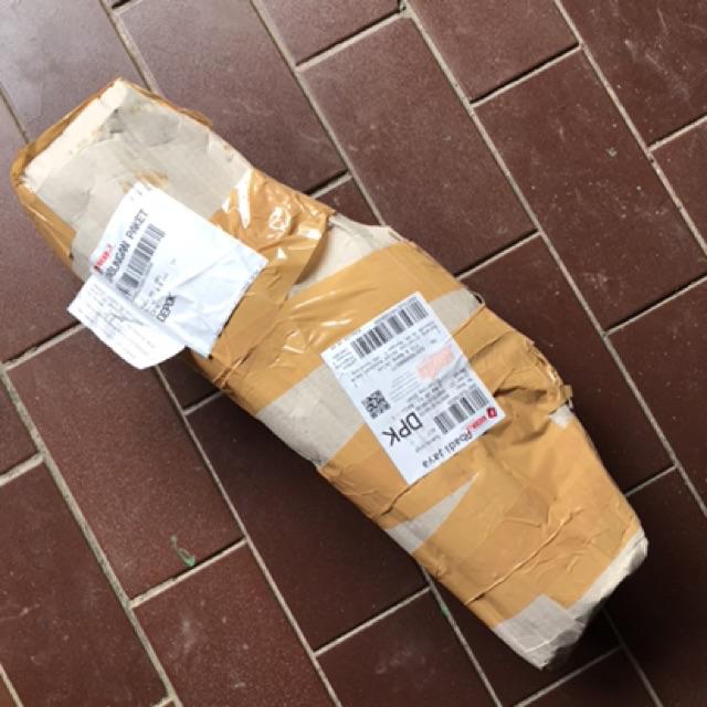 Sale ❗❗ Bibit Sirih Gading Jumbo