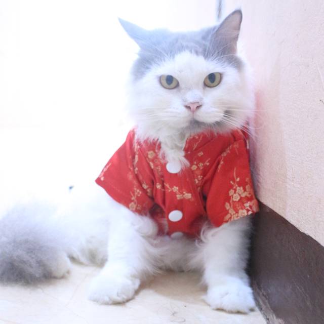 Baju chongsam spesial ada tas slempang untuk angpao imlek 2020 / baju kucing dan anjing size S-XL