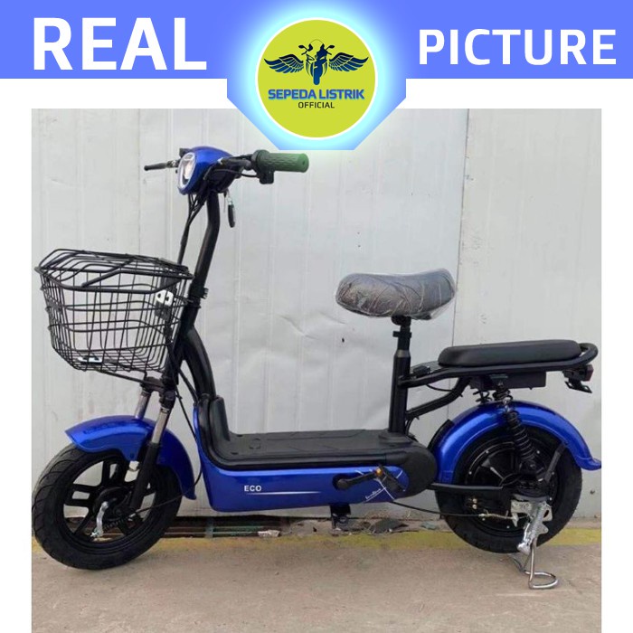 eco electric bike