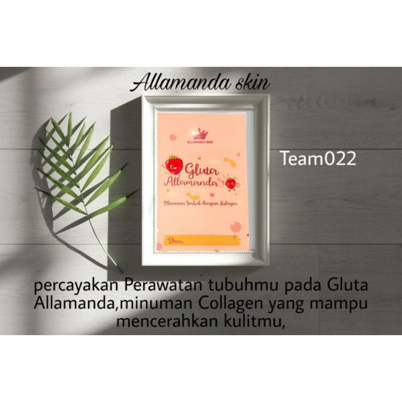 

Gluta_Allamanda
