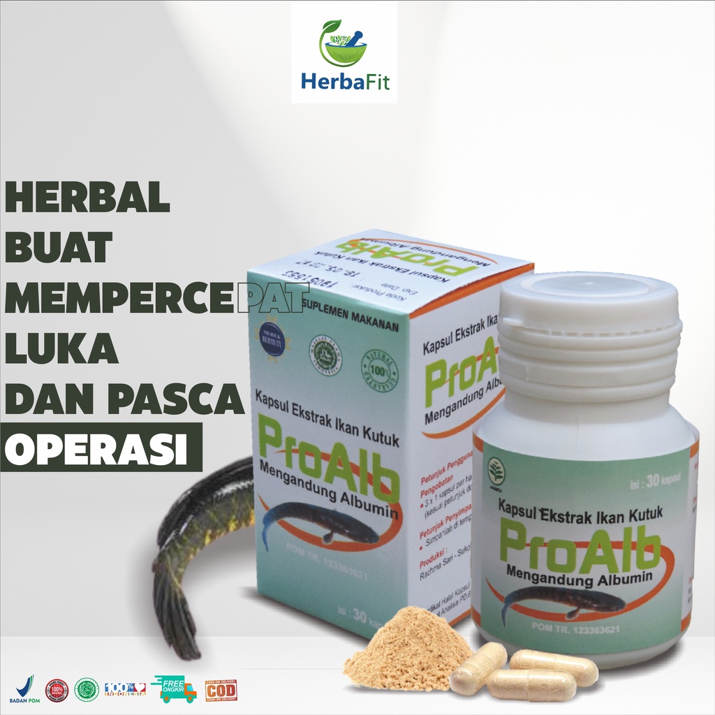 KAPSUL KUTUK PREMIUM ProAlb Tazakka isi 30 Kapsul untuk penyembuhan luka luar Lebih cepat Dan Ampuh.