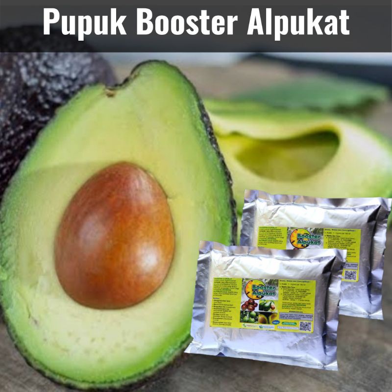 Pupuk Alpukat Cepat Berbuah, BISA COD Pupuk Booster Organik Untuk Alpukat Supaya Berbuah Lebat