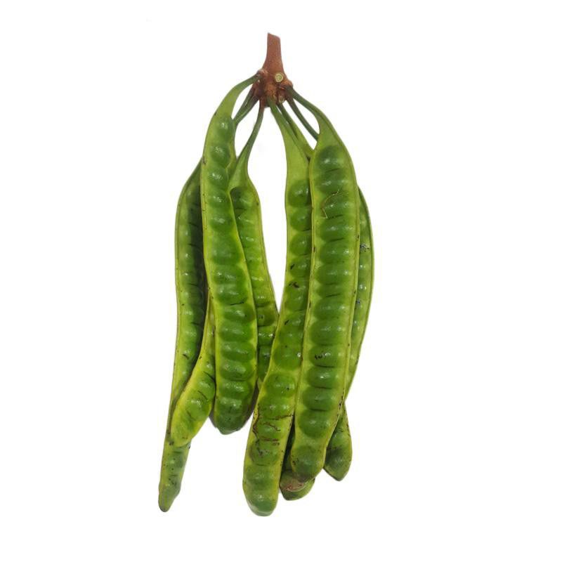 

Petai Pete per Keris, Bumbu Masakan, Aromatik