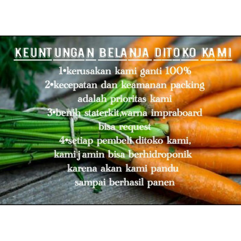 PAKET HIDROPONIK LENGKAP PAKET HIDROPONIK PEMULA 3BAK 36LUBANG PAKET  HYDROPONIK B AK HIDROPONIK