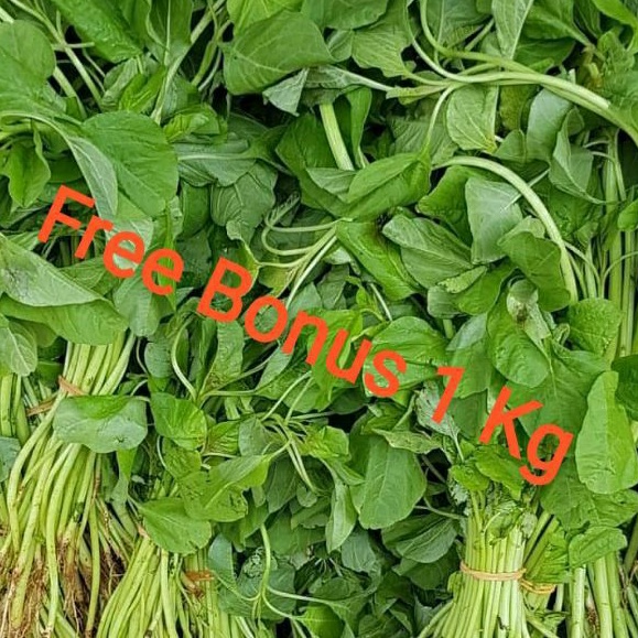 

Sayur Bayam Fresh + Gratis Bonus