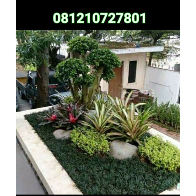 jasa pembuatan taman / jasa pembuatan jasa pemasangan rumput taman