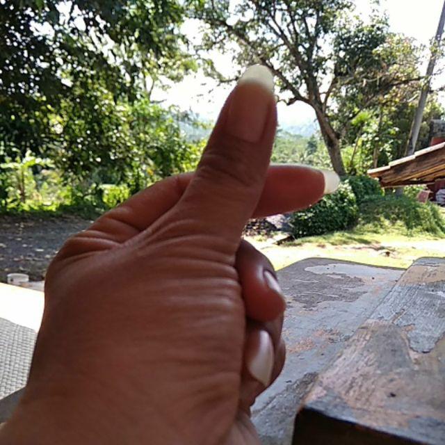 Fungisida Biologis Organik Trico-g 500gram Obat Layu Bakteri Fusarium