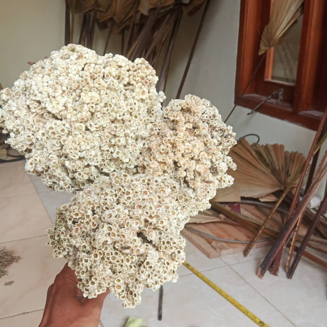 Bantal Tidur Kepala Plus Guling Peluk Bahan Premium Kualitas Terbaik Standart Hotel