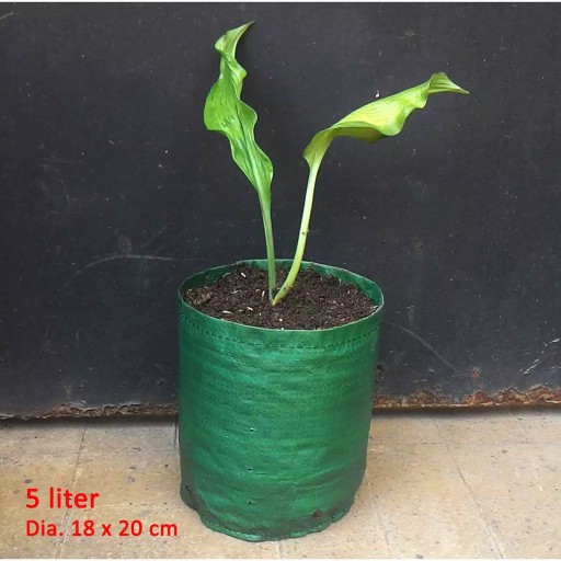 Planter Bag Easy Grow 5 Liter - Hijau