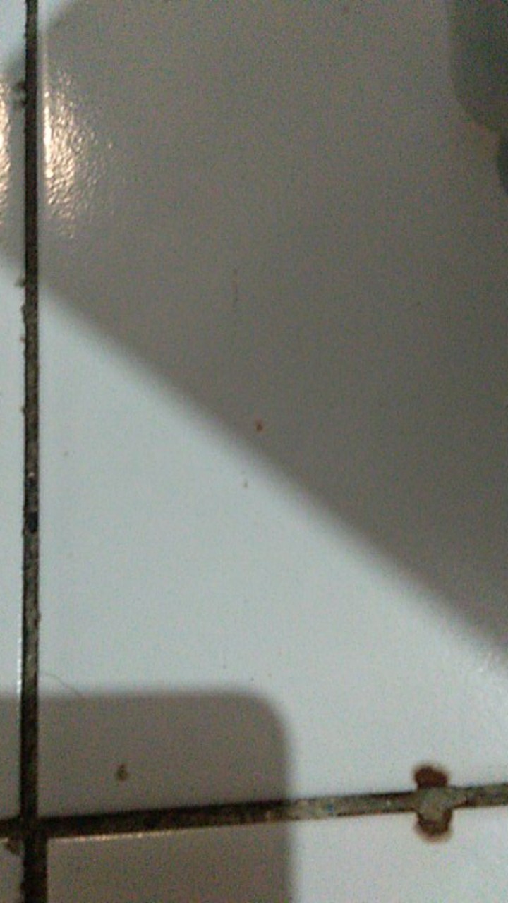 Payung Transparan 627