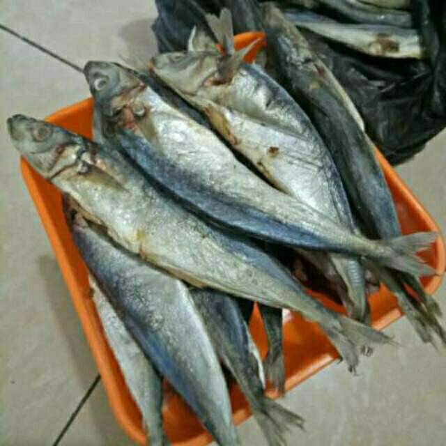 

ikan asin super K1 layang benggol 1kg khas pasuruan jawa timur
