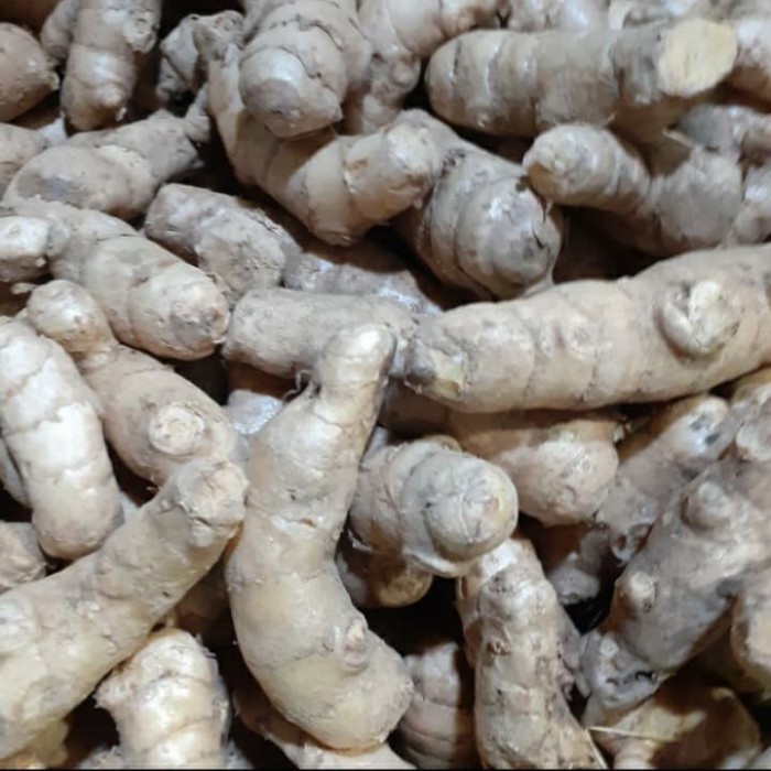 

qsps0s0 Kunyit Mangga/Temu Mangga/Obat Herbal 500 Gram Gr040H