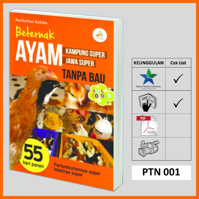 BETERNAKAN AYAM KAMPUNG SUPER & JAWA SUPER TANPA BAU