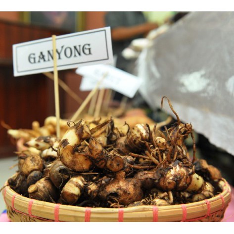 

Umbi Ganyong putih segar 1 kg