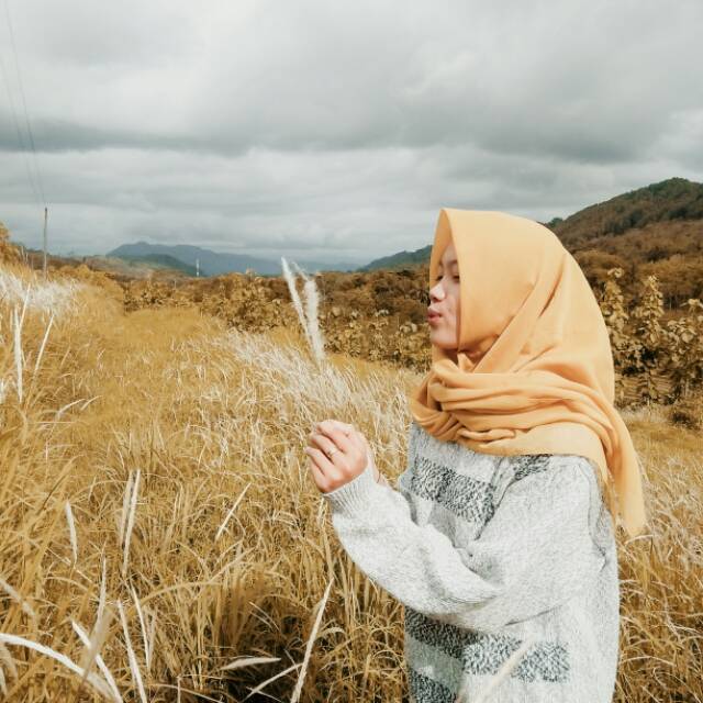 fiambarasuchi