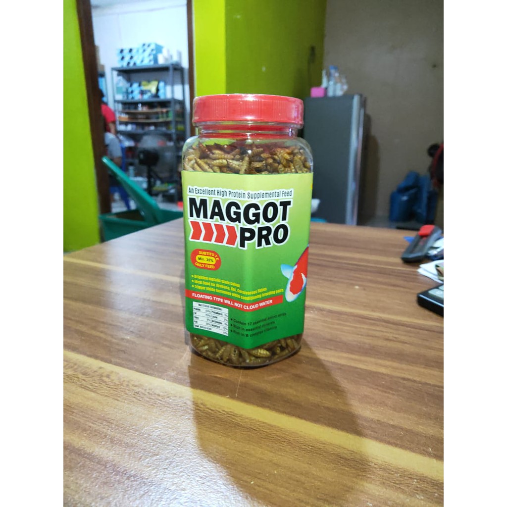 Makanan ikan predator MAGGOT PRO 130 GR LKL KY