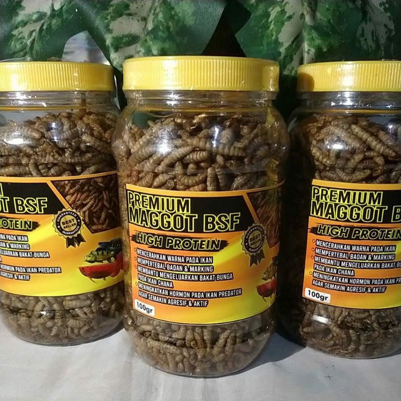 Maggot 100gr Premium Bsf/Udang Kering( Pakan ikan Chana,Louhan,Oscar,Koi,Pbass ,Arwana )Maggot 100gr