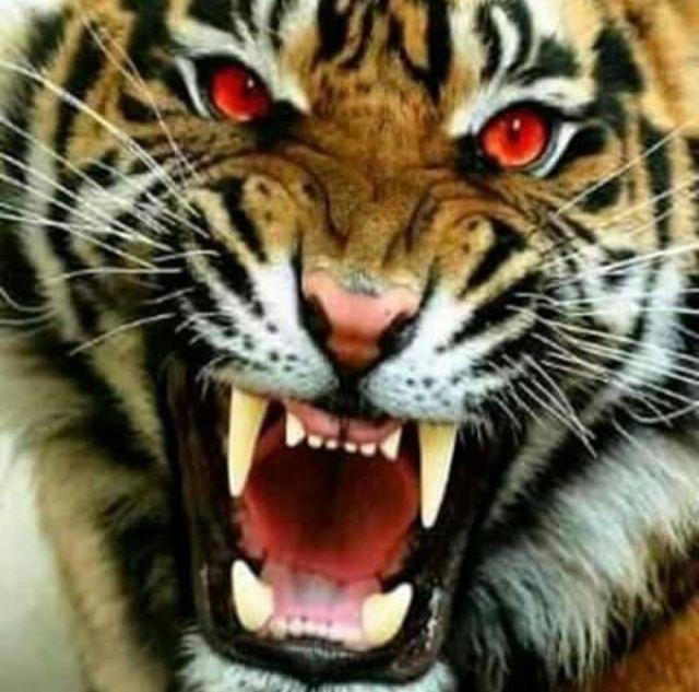 Korek Api Bara Batik