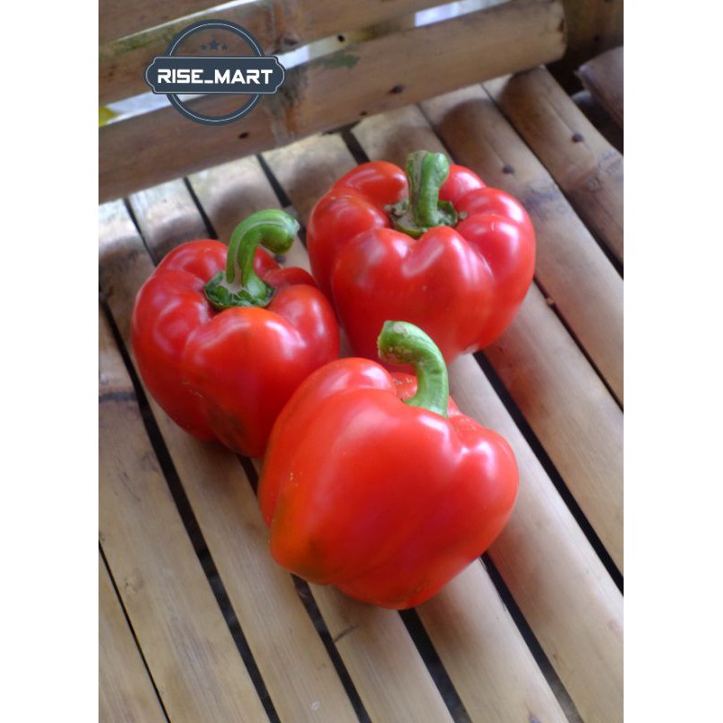 

Paprika Merah 500gr atau Cabe Red paprika