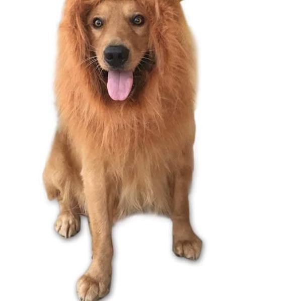 Terlaris Diskon Dog Lion Wig Kostum Size Xl Wig Singa Untuk Kucing