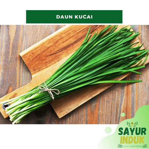 

Sayur Induk - Daun Kucai 250 Gram Fresh Grade A