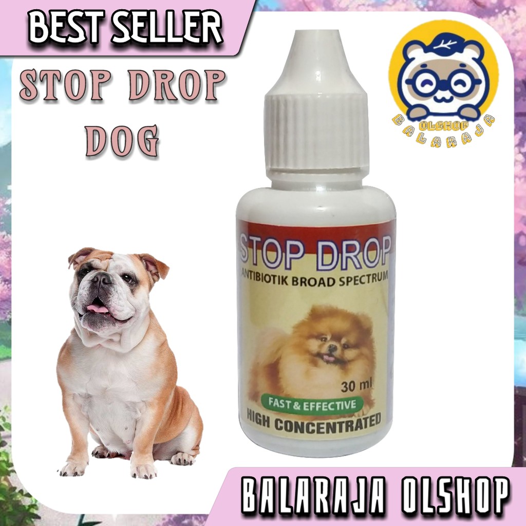 Antibiotik Anjing Puppy Obat Sakit Deman Flu Pilek Diare Pencernaan Perut Ngorok Stop Drop Dog 30ML