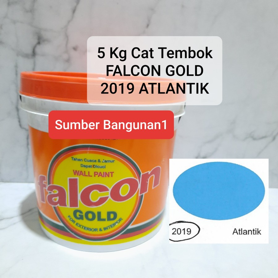 Cat Falcon Gold atlantik 2019 tembok dinding biru muda laut 5kg bagus