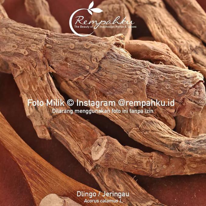 

(Baru!!) ramuan rempah - DLINGO 10gr Sample Rimpang Akar Jeringau Kering Jamu Herbal
