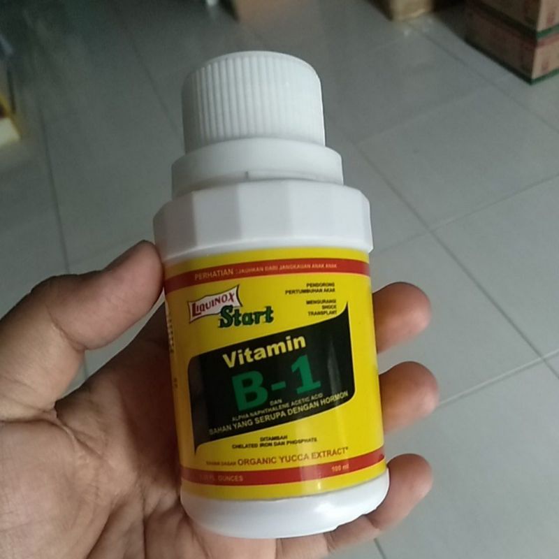 Vitamin B1 vitamin perangsang akar penyubur tanaman